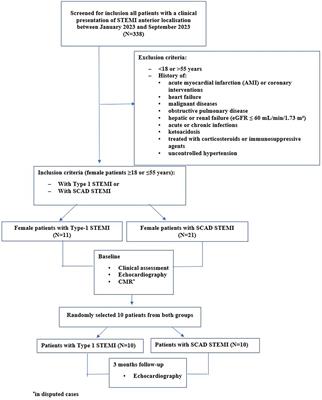 Differences in left ventricular myocardial function and infarct size in female patients with ST elevation myocardial infarction and spontaneous coronary artery dissection